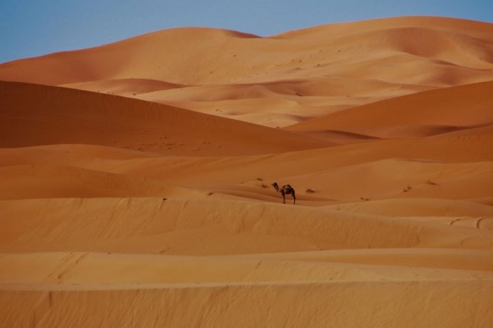 Unearthing the Hidden Secrets Beneath Desert Sand