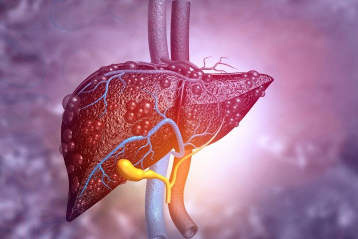 Person Could Grow Second Liver in Revolutionary Trial