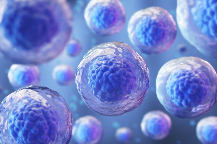 Human Cells Experience Memory Erasure in Groundbreaking Regenerative Medicine Advancement