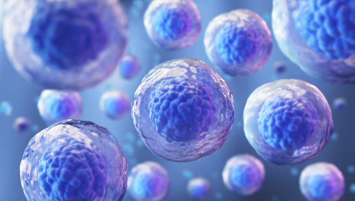 Human Cells Experience Memory Erasure in Groundbreaking Regenerative Medicine Advancement