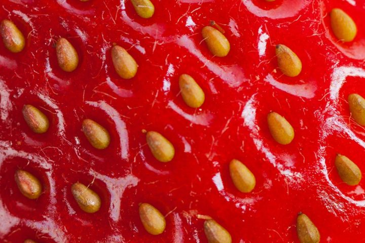 White Dots on Strawberries: Unveiling the Truth Behind Their Identity