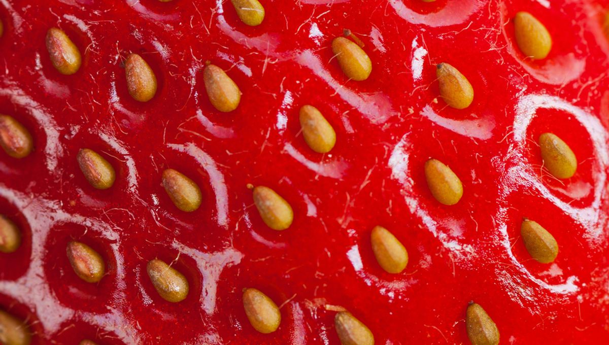 White Dots on Strawberries: Unveiling the Truth Behind Their Identity