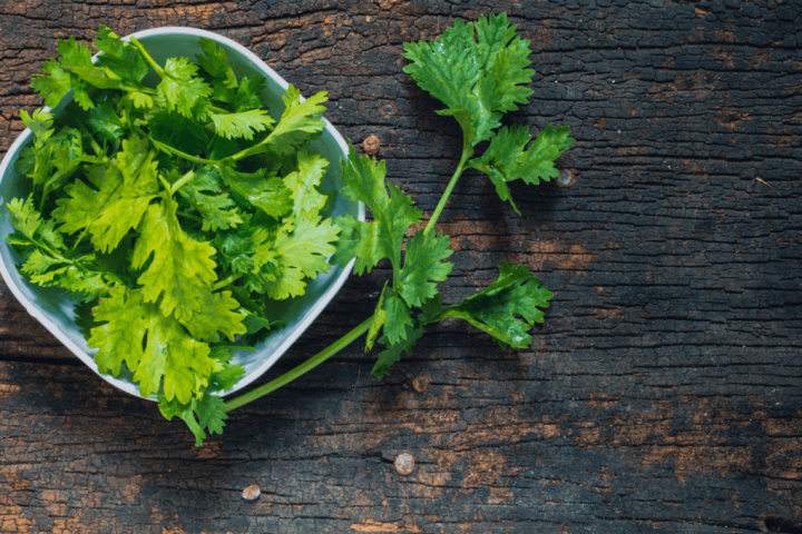 Love or Hate Cilantro? Your Genes Hold the Answer