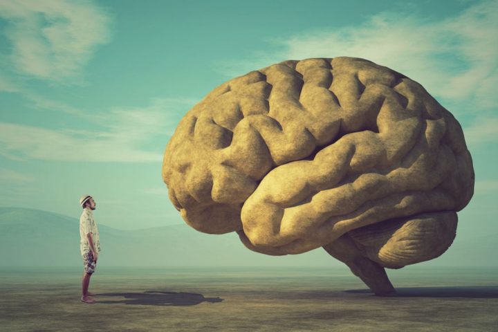 Scientists Uncover the Long-Awaited Explanation for Humans’ Enormous Brains