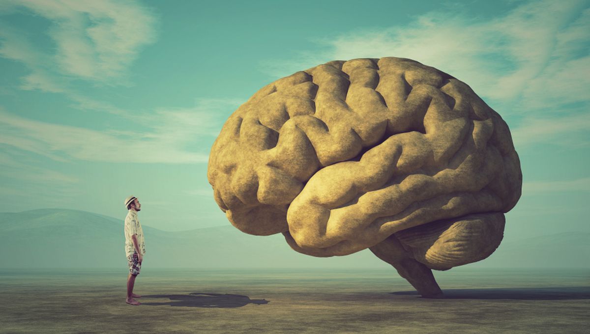 Scientists Uncover the Long-Awaited Explanation for Humans’ Enormous Brains