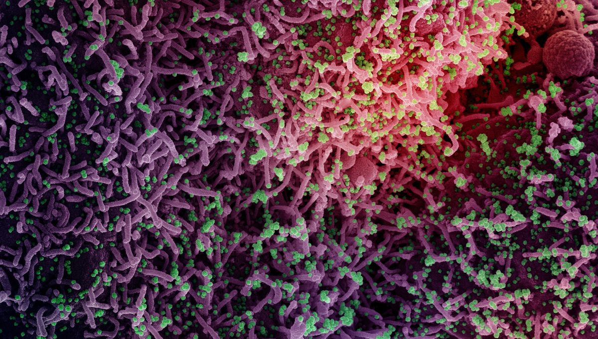 The Now-Dominant BA.5 COVID Strain Causes Strange Symptoms At Night, Professor Suggests
