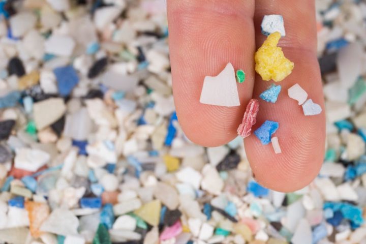 Microplastics in Brain: Potential to Alter Behavior