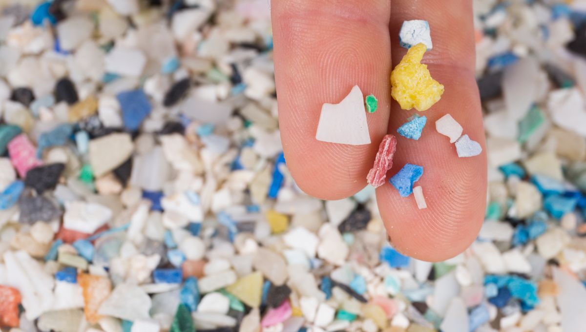 Microplastics in Brain: Potential to Alter Behavior