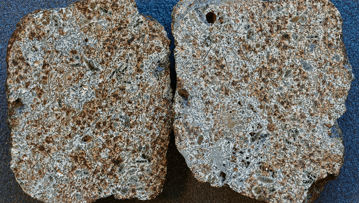 Oldest Volcanic Meteorite Challenges Theories of Solar System Formation