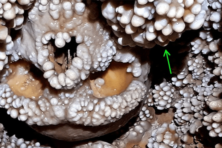 Ancient Altamura Man Immortalized in Cave Wall