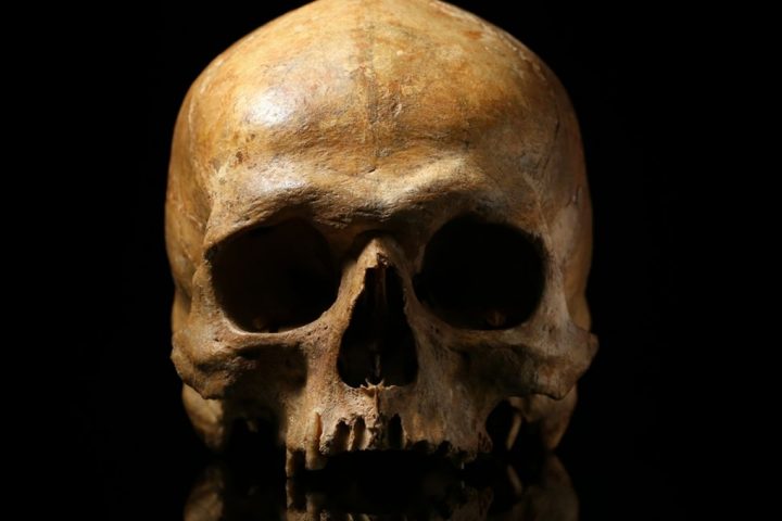 Early Ancestors Nearly Faced Extinction 900,000 Years Ago
