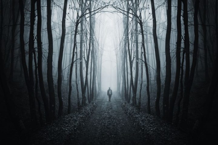Unraveling the Mystery of the Fermi Paradox: Where is Everybody?