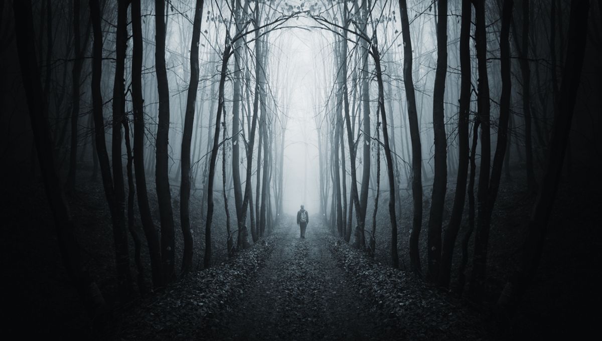 Unraveling the Mystery of the Fermi Paradox: Where is Everybody?