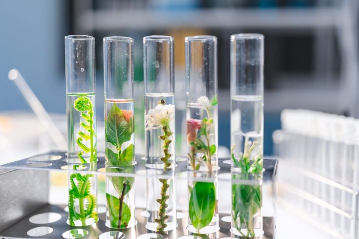 How Laboratories Achieve Sustainability