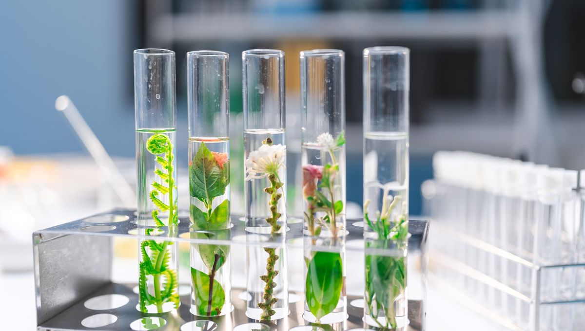 How Laboratories Achieve Sustainability