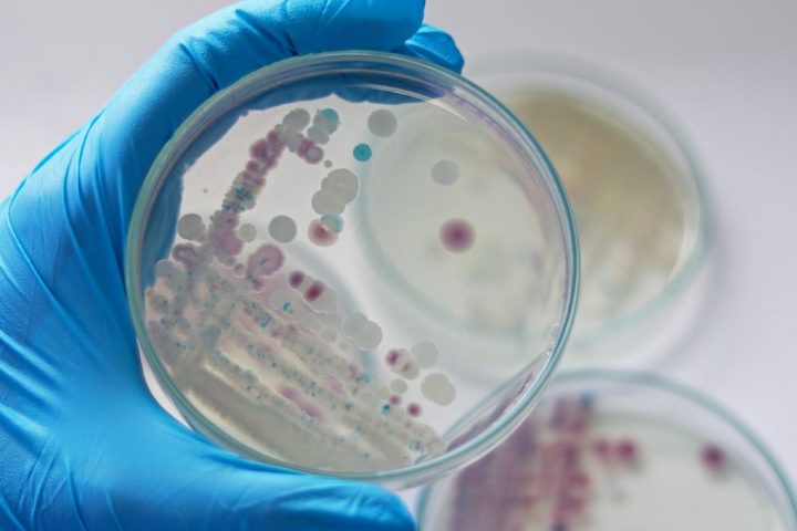 Warning Issued After 5 Deaths Linked to Flesh-Eating Vibrio Vulnificus Infection