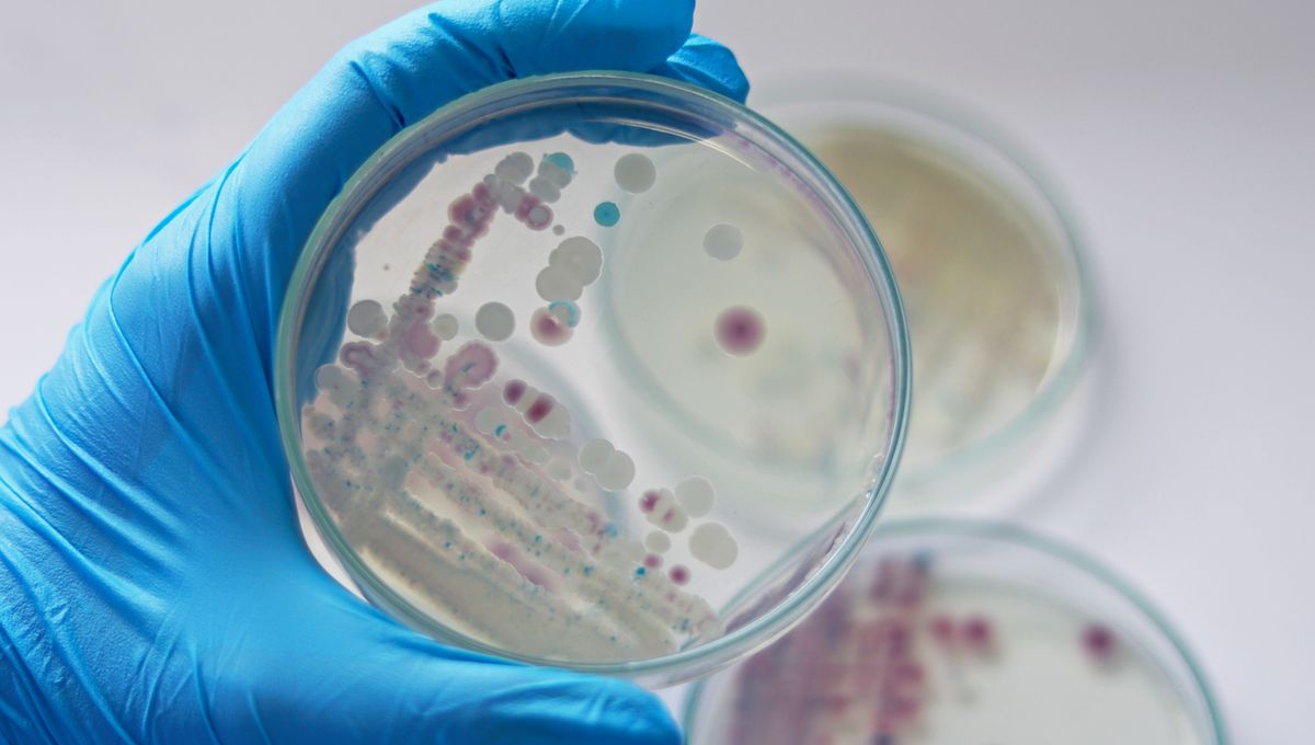 Warning Issued After 5 Deaths Linked to Flesh-Eating Vibrio Vulnificus Infection