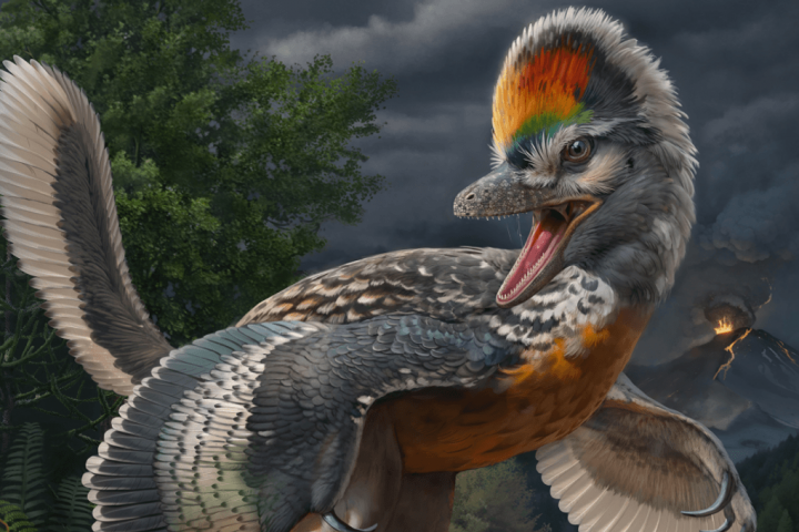 150-Million-Year-Old Dinosaur Boasted Unprecedentedly Lengthy Legs
