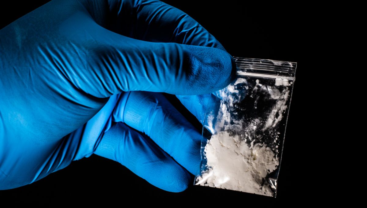 Fentanyl and Heroin Vaccines Scheduled for Human Trials in Upcoming Year