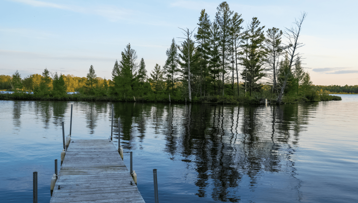 Floating Bog Island Blocks Bridge in Chippewa; Locals Utilize Boats to Relocate
