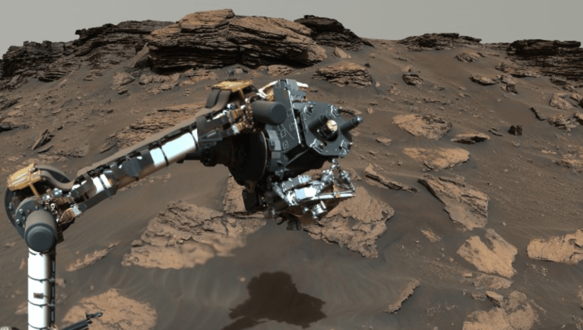 Perseverance Generates Sufficient Oxygen to Sustain Small Dog for 10 Hours on Mars