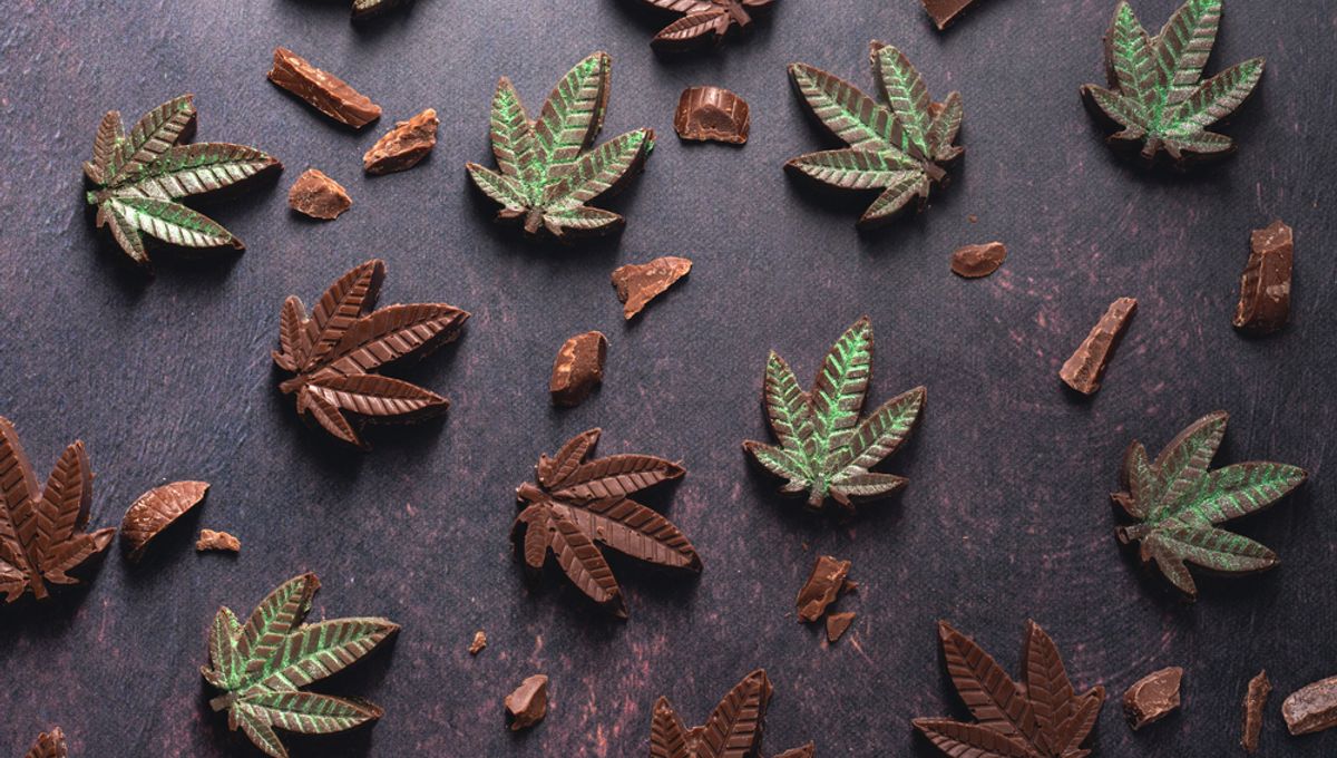 Duration of Cannabis Edibles in Your System: Unveiling the Truth