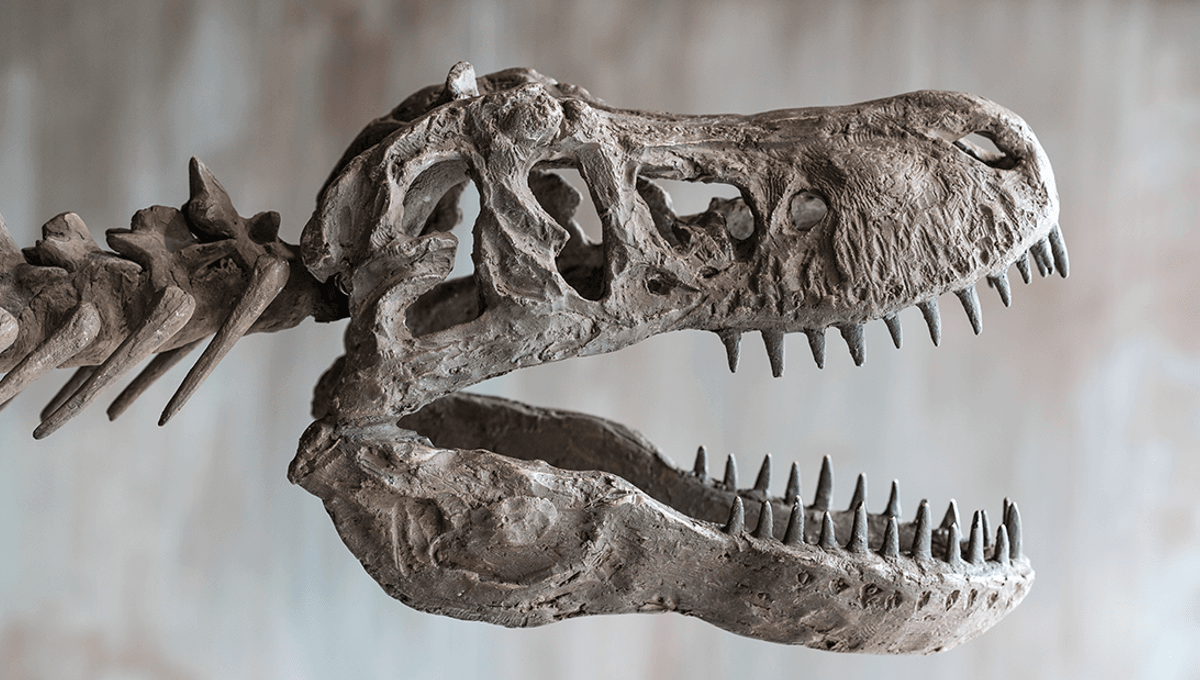 Conspiracy Theorist Questions Widespread Presence of Dinosaur Bones