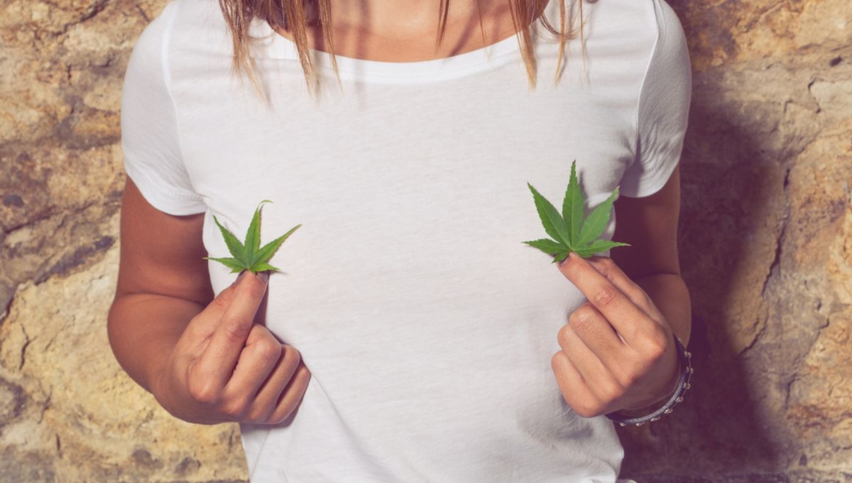 Your Body’s Natural Cannabinoids: A Potential Source of Relaxation