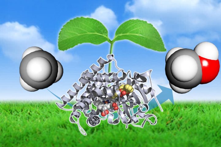 New Enzyme Converts Methane into Methanol, Reducing Carbon Footprint