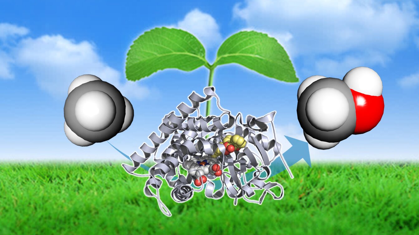 New Enzyme Converts Methane into Methanol, Reducing Carbon Footprint