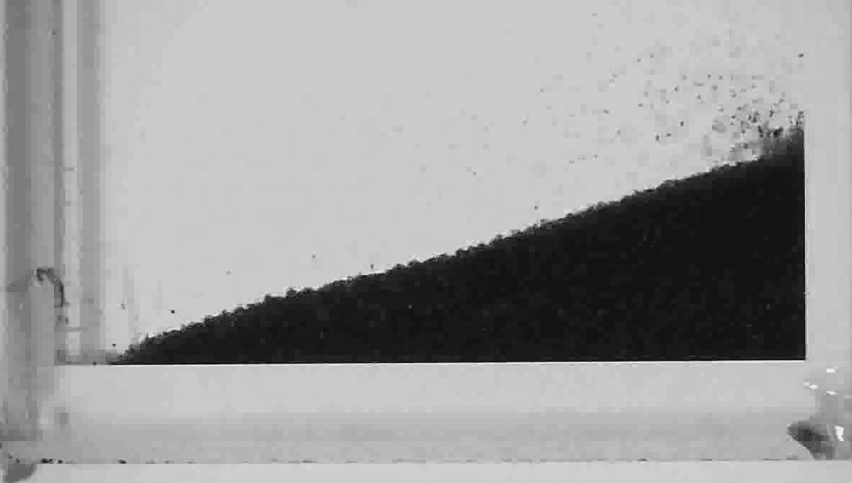 Scientists Create Strange Sand That Can Climb Uphill and Up Walls