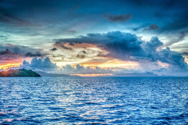 Ocean Acidification Makes Ecologically Important Seaweed Species Fragile