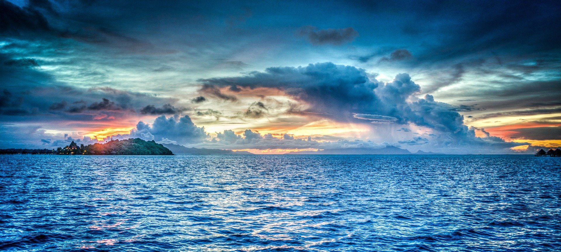 Ocean Acidification Makes Ecologically Important Seaweed Species Fragile