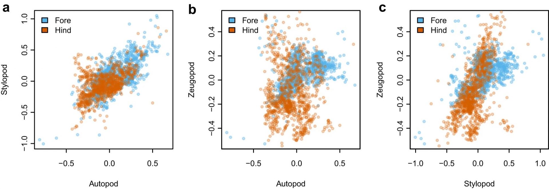 Study Reveals Less Biodiversity in Birds with Increased Complexity