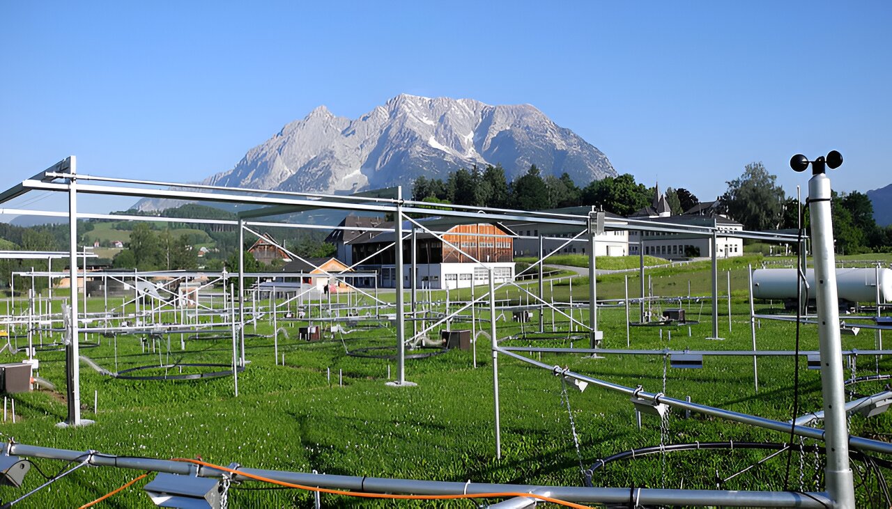 Bacteria in Soil Proven to Withstand Drought Periods