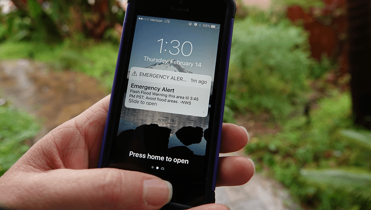 US-Wide Emergency Alert Sparks Fears of Nationwide Zombie Outbreak