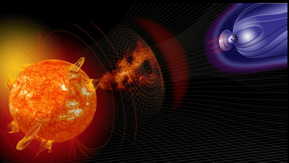 Ancient Tree Rings Unveil Unprecedented Solar Storm Discovery