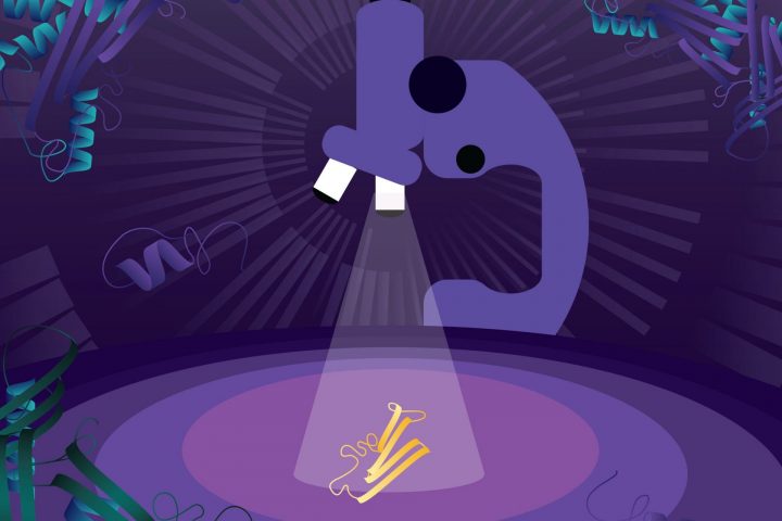 Novel computational approach confirms microbial diversity is more untamed than ever