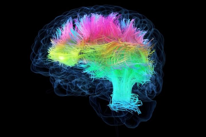 New Brain Cell Atlas Unveils Unprecedented Detail: The Significance Behind