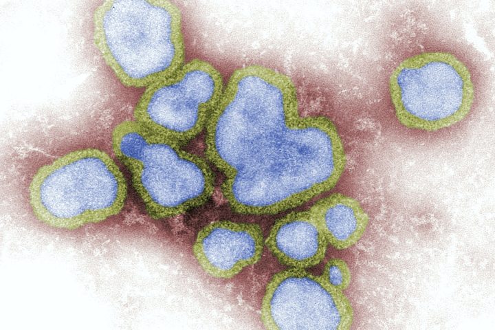 Scientists Discover Novel Mechanism of Viral Defense Against Bacteria