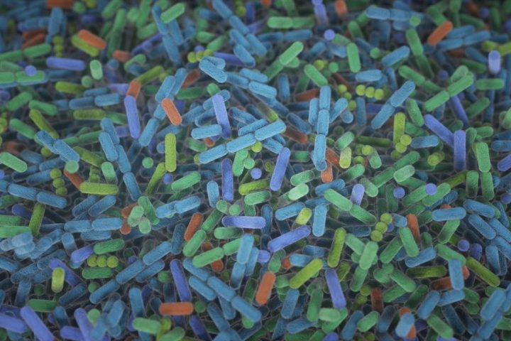 Alzheimer’s Disease Memory Decline Transferred To Healthy Young Brains In Unprecedented Breakthrough