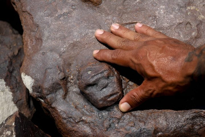 Drought in Brazil’s Amazon Unveils Ancient Engravings