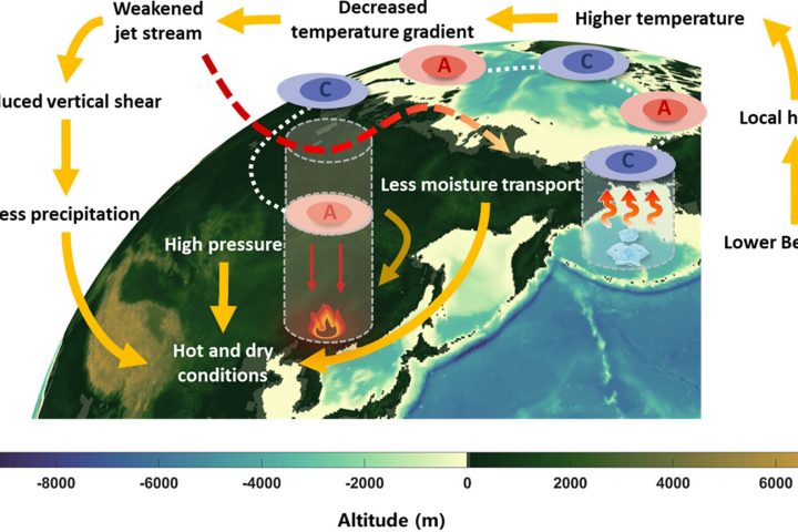 Declining Bering Sea ice linked to rising wildfire threat in northeast China