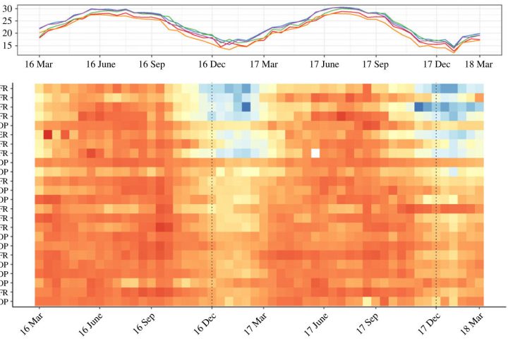 Okinawa Ants Exhibit Decreased Seasonal Behavior in Highly Developed Areas