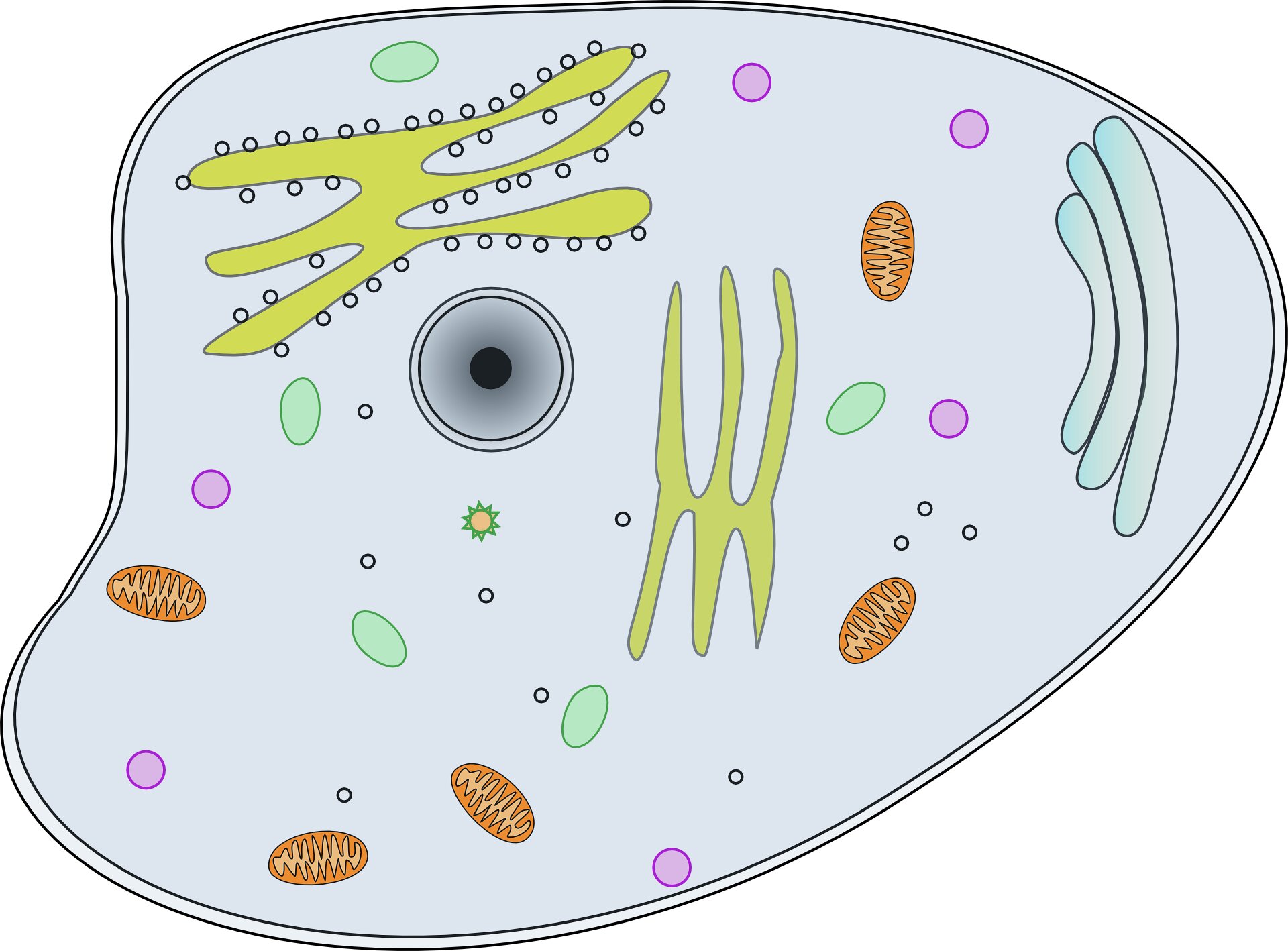 Intercellular messengers unveil their secrets