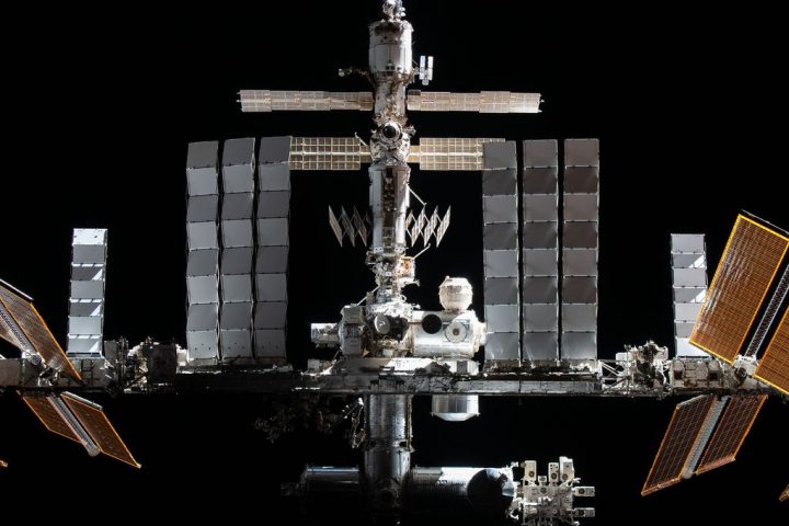 Embryo Development Unaffected by Lack of Gravity: Space Station Experiment Reveals