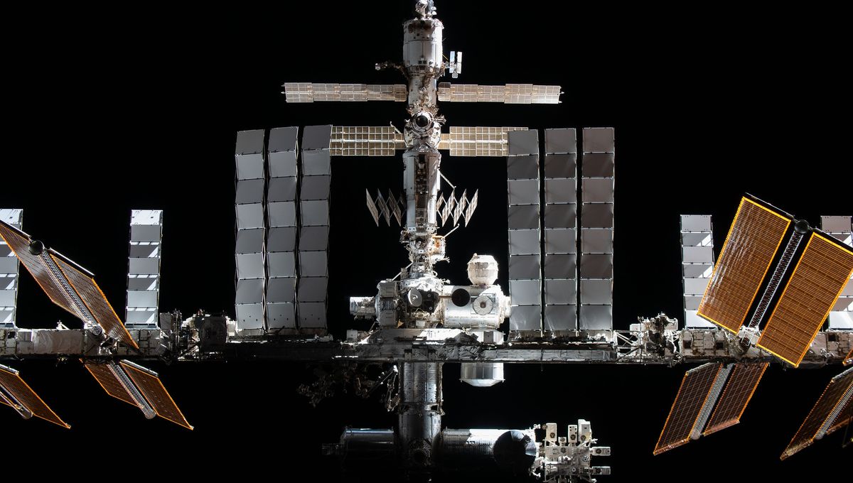 Embryo Development Unaffected by Lack of Gravity: Space Station Experiment Reveals