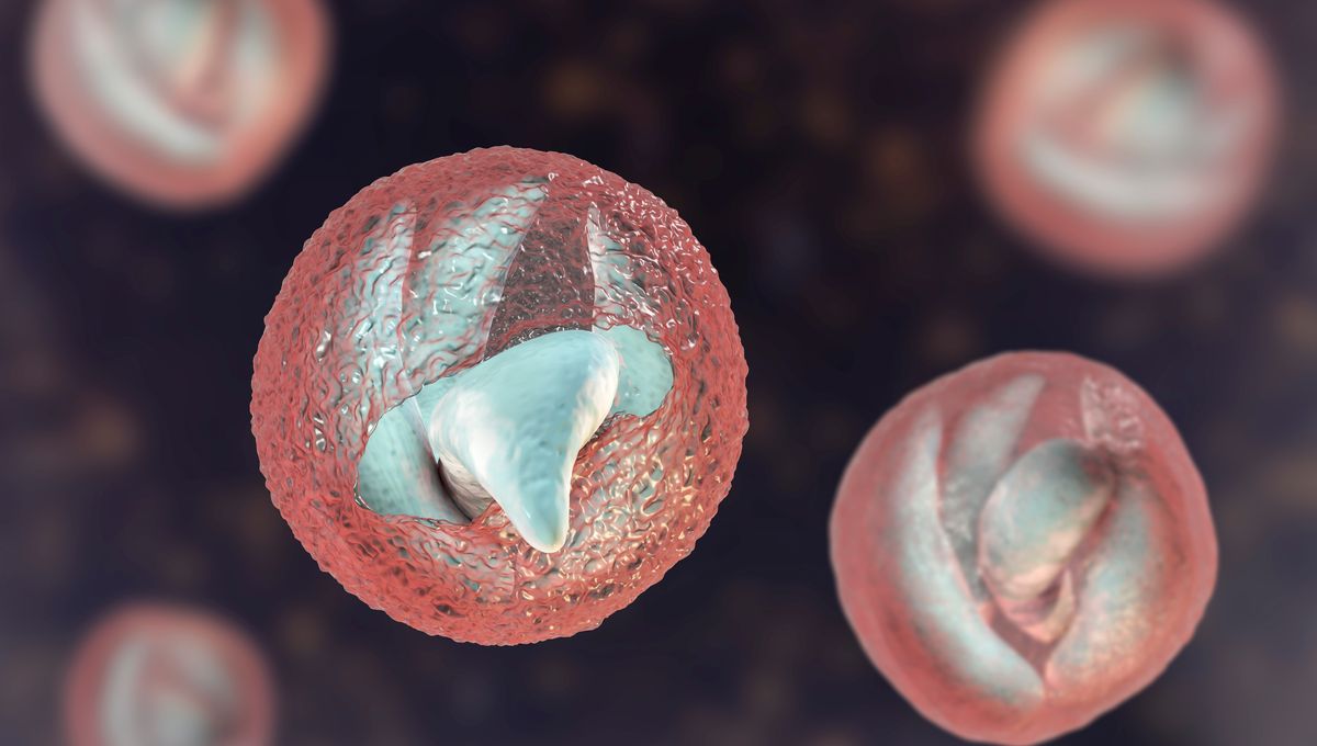 Cryptosporidiosis Surges in UK: Essential Information