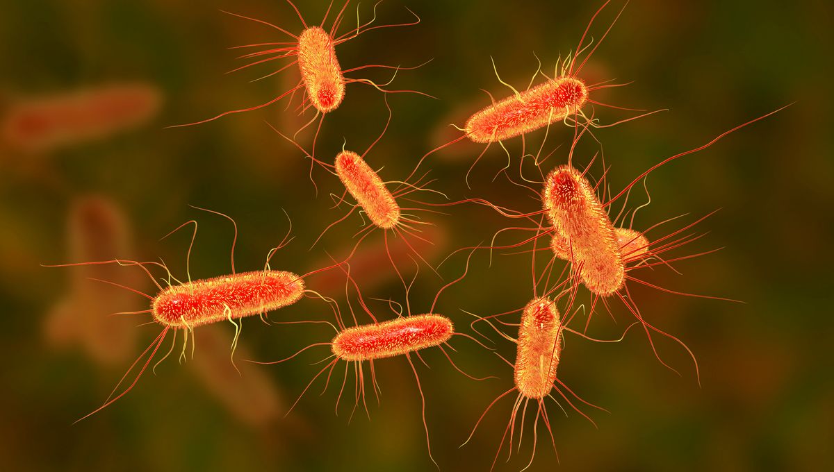 Bacteria’s Inherited Memories: A Fascinating Phenomenon