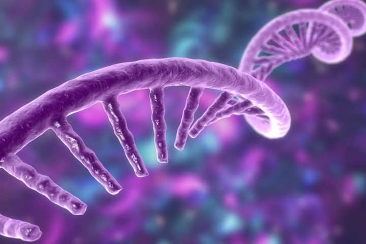 mRNA’s Inability to Alter DNA in Cells: Unveiling the Reasons
